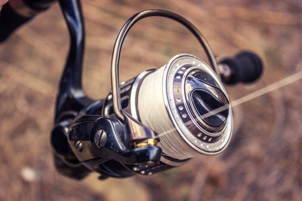 5 best spinning reels under $50